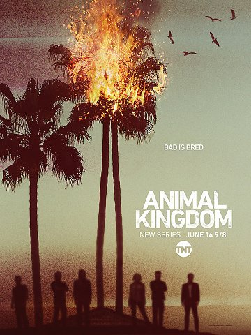 Animal Kingdom S01E09 VOSTFR HDTV