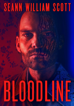 Bloodline FRENCH BluRay 720p 2020