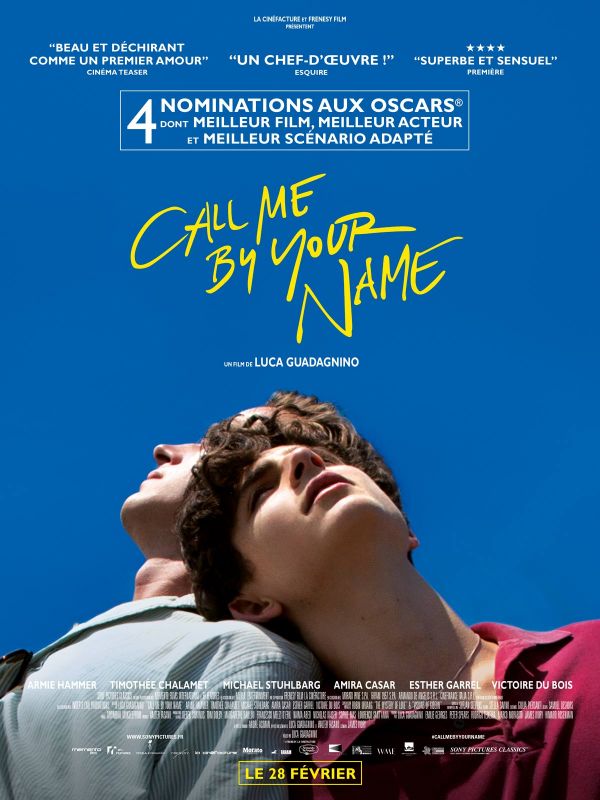 Call Me By Your Name FRENCH HDLight 1080p 2017