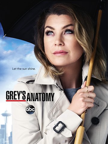 Grey's Anatomy S12E08 VOSTFR HDTV