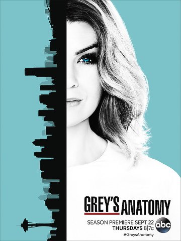 Grey's Anatomy S13E02 VOSTFR HDTV