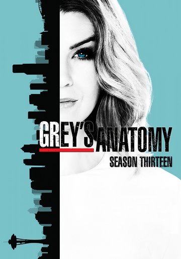 Grey's Anatomy S13E05 FRENCH HDTV