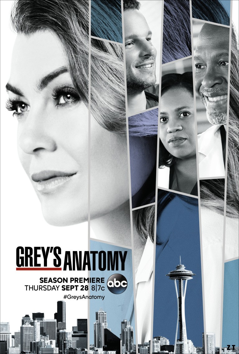 Grey's Anatomy S14E12 FRENCH HDTV