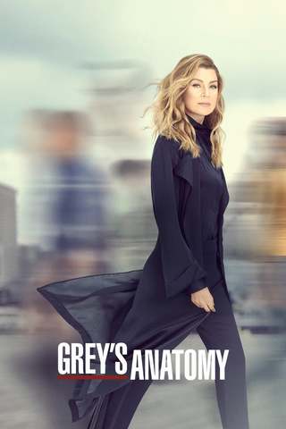 Grey's Anatomy S16E03 FRENCH HDTV
