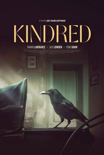 Kindred FRENCH WEBRIP LD 1080p 2022