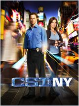 Les Experts : Manhattan S08E03 FRENCH HDTV