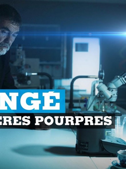 Les Rivières Pourpres S01E06 FRENCH HDTV