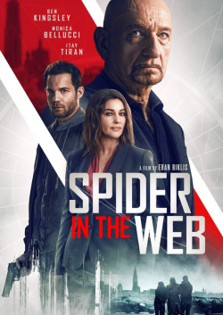 Spider in the Web FRENCH BluRay 720p 2020
