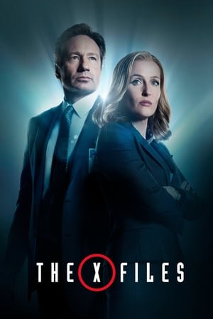 The X-Files Saison 5 MULTI WEBRIP 1080p HDTV