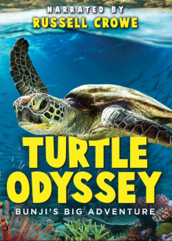 Turtle Odyssey FRENCH BluRay 720p 2019